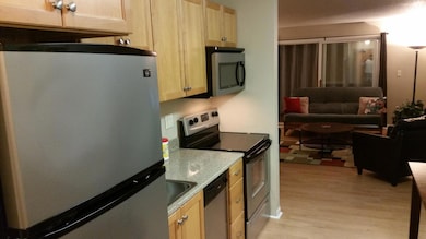 Edgewater Condominiums unit 302, Detroit Lakes, MN 56501 - photo 2