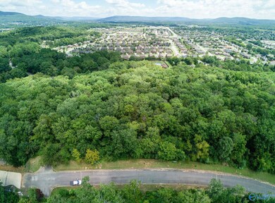 7035 Ridge Crest Rd SE unit LOT 53, Owens Cross Roads, AL 35763 - photo 6