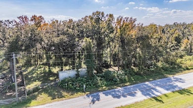 18113 672 Hwy, Lithia, FL 33547 - photo 7