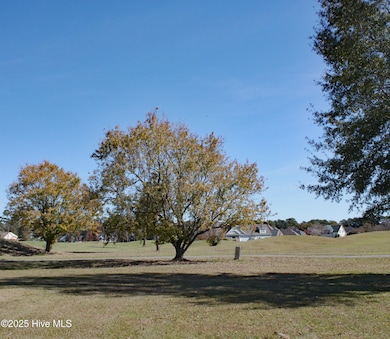7000 Bloomsbury Ct SW, Ocean Isle Beach, NC 28469 - photo 3