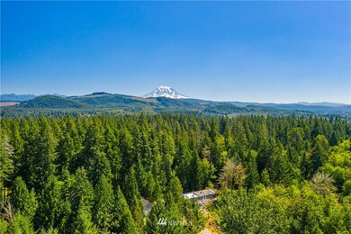 16812 210th St E, Graham, WA 98338 - photo 2