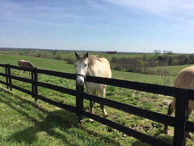 104 Bob White Path, Georgetown, KY 40324 - photo 7