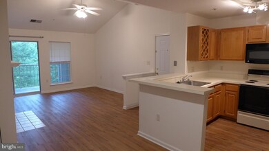 4406 Silverbrook Ln unit J304, Owings Mills, MD 21117 - photo 7
