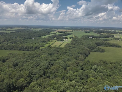 49.59 +/- Acres Snake Rd, Athens, AL 35611 - photo 2