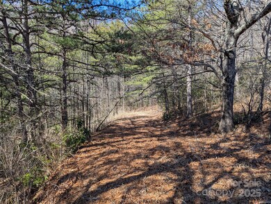 94 Trillium Ln unit C2, Black Mountain, NC 28711 - photo 6