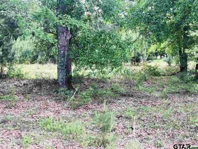 15595 Vantage View Dr, Tyler, TX 75707 - photo 5