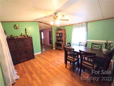 89 Conner Rd, Candler, NC 28715 - photo 3
