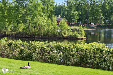 Pond View 0228-SMALL