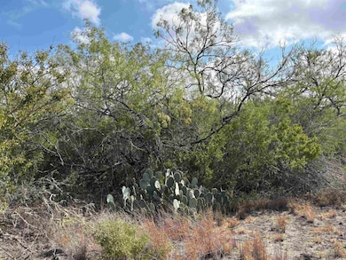 0 Farm To Market Road 889, George West, TX 78022 - photo 3