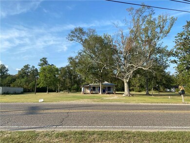 27218 Hwy 42 Hwy, Springfield, LA 70462 - photo 4