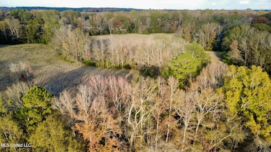 3142 King Rd, Wesson, MS 39191 - photo 5