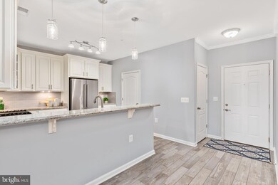 41900 Metamorphic Square unit 203, Aldie, VA 20105 - photo 5