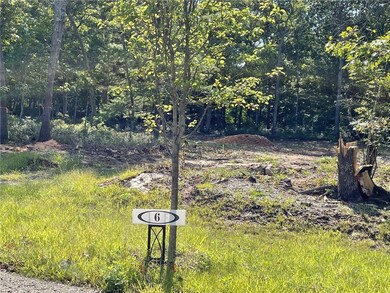 Lot 6 ~ 1.32 Acres