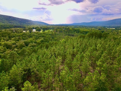 16 Three Waters Dr, Honobia, OK 74957 - photo 2