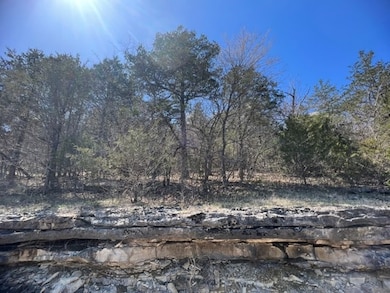 194 Table Rock Dr, Holiday Island, AR 72631 - photo 2