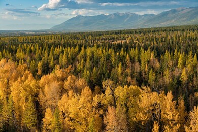 Lot 25 Orvis Evans Dr, Bigfork, MT 59911 - photo 4