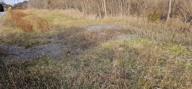 State Route 96a, Romulus, NY 14541 - photo 6