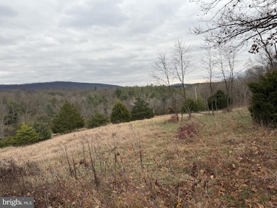 29 Heather Ln, Slanesville, WV 25444 - photo 6