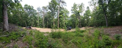 Panorama View of the cleared spot
