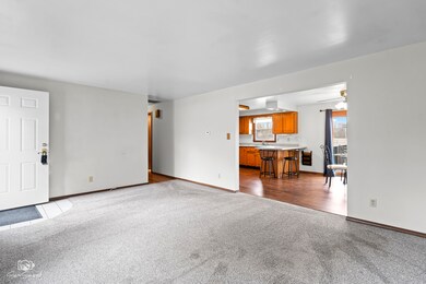 41 Southview St, Kankakee, IL 60901 - photo 6