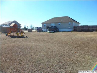 HUGE backyard!!!! There is also a decent sized bac