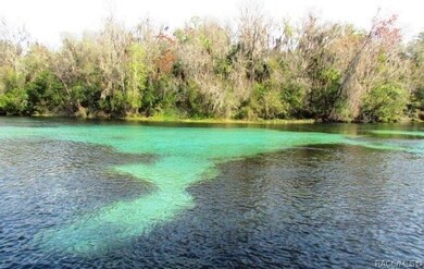 00 SW 202 Avenue Rd, Dunnellon, FL 34431 - photo 5