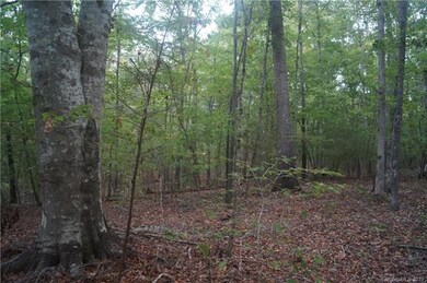 00 Mcgill Rd, Smyrna, SC 29743 - photo 6