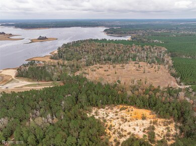 452 Kepler Dam Rd, Jamestown, LA 71016 - photo 7