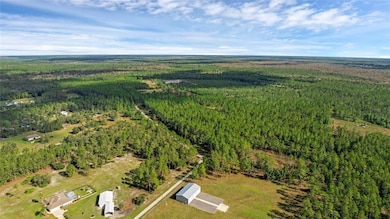 1 Wild Cur Rd, Pierson, FL 32180 - photo 4