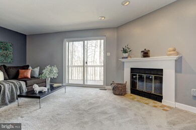 11890 Blue February Way, Columbia, MD 21044 - photo 5