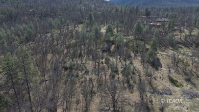 305 Pine Ave, Hayfork, CA 96041 - photo 3