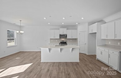 11416 Glasden Rd unit 511, Charlotte, NC 28278 - photo 3