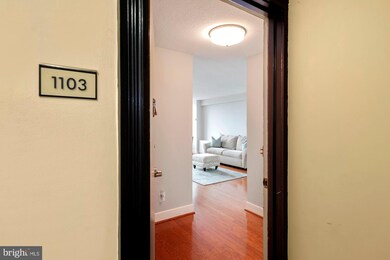 Mica Condominiums unit 1103, Silver Spring, MD 20910 - photo 6