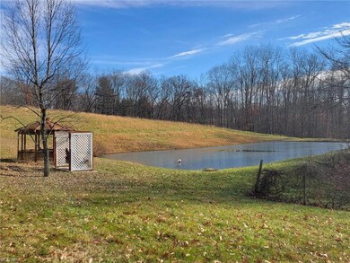 Pond