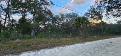 6673 W Merrivale Ln, Homosassa Springs, FL 34446 - photo 2