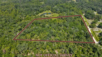 0 NE 354th Ave, Old Town, FL 32680 - photo 3