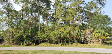 Property line is to the right of the telephone pol