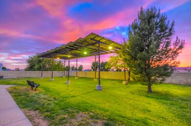 Sunset Rear (3)-SMALL