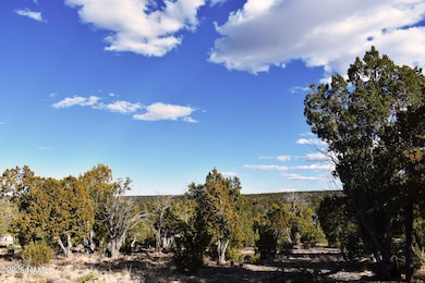 4367 Sunset Ridge Loop, Happy Jack, AZ 86024 - photo 6