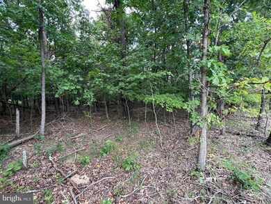 0 Lot 51 Clavius Way unit WVBE2012858, Hedgesville, WV 25427 - photo 6