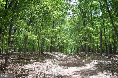 458 Gaither Rd, Great Cacapon, WV 25422 - photo 3