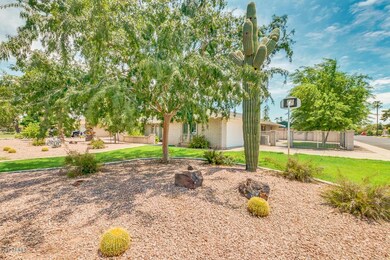 LARGE CORNER LOT
