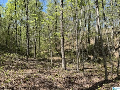 Tract 3 County Road 268 unit 3, Roanoke, AL 36274 - photo 3