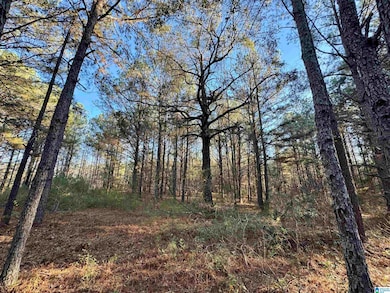 100 Presbyterian Church Rd, West Blocton, AL 35184 - photo 5