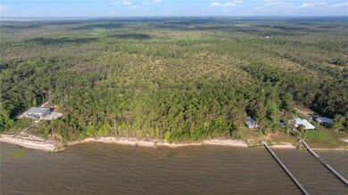 Bird's eye view featuring a water view and a fores