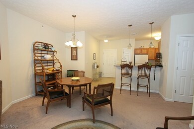 616 Aqua Marine Blvd unit 16, Avon Lake, OH 44012 - photo 6