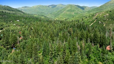 1722067333771_1722022556716dji0875