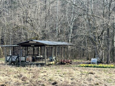 196 Petty Hollow Rd, Prospect, TN 38477 - photo 2