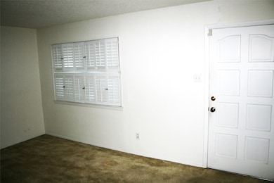 2510 SE 5 1 2 St, Mineral Wells, TX 76067 - photo 4