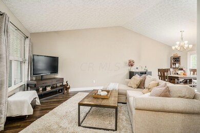 Newer LVT flooring